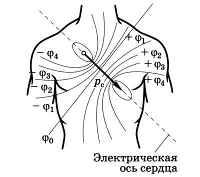 5468468648
