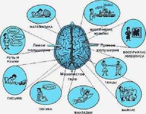 Инсульт левая сторона