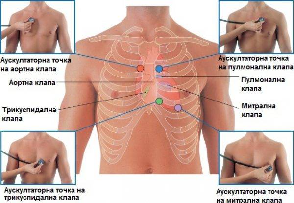 Аускультация сердца