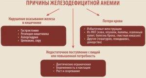 Железодефицитная анемия