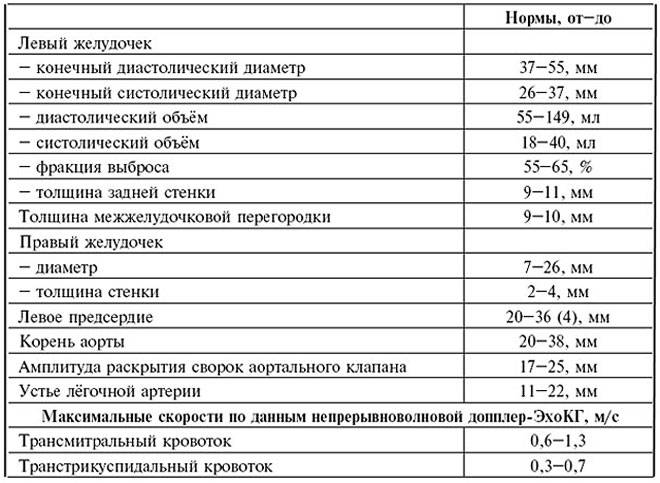 примерные нормы размеров структур сердца