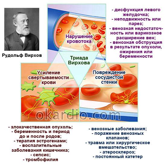 триада Вирхова
