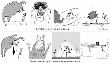 причины накопления стресса в организме