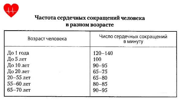 Какой пульс нормальный для человека