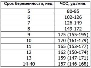 Нормальные значения сердцебиения плода
