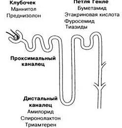 54688448486