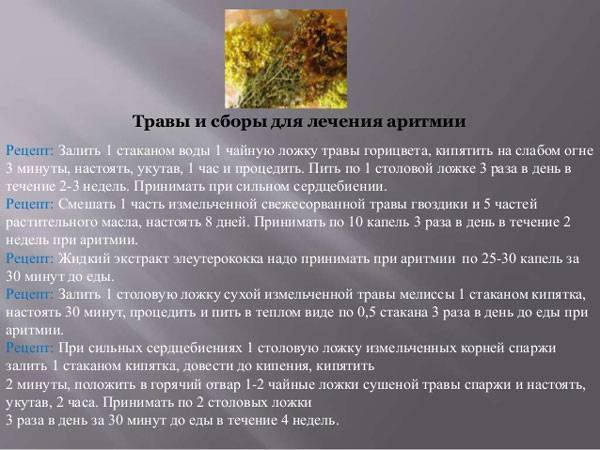 Травы и сборы для лечения аритмии