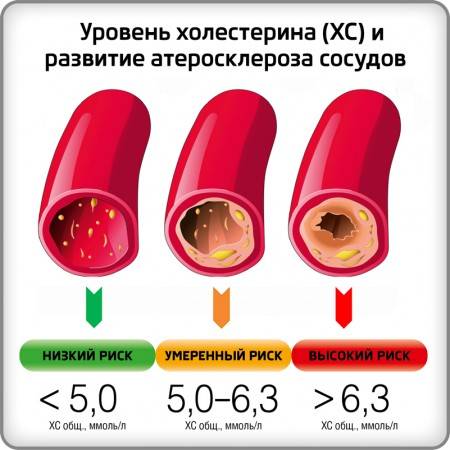 продукты питания при высоком холестерине