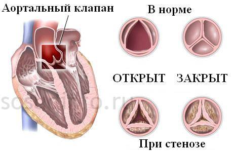4868486486
