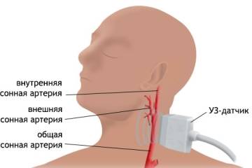 Что показывает обследование и какие участки показывает