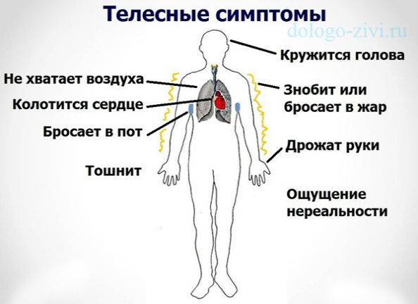 Успокоительные при всд