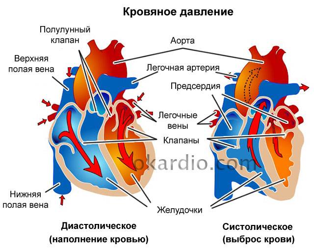 нижнее и верхнее давление