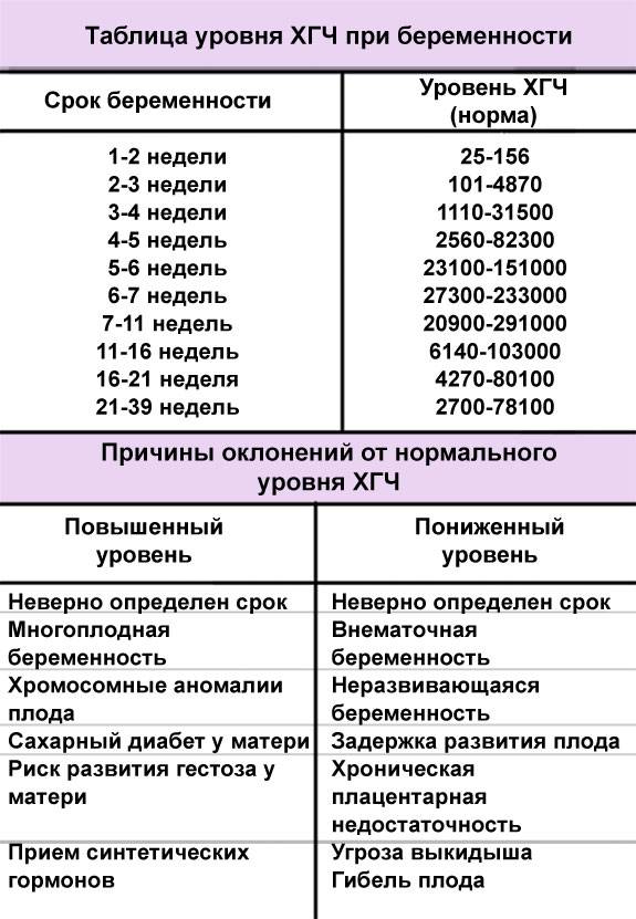показатели нормы ХГЧ при беременности и причины пониженного или повышенного уровня ХГЧ