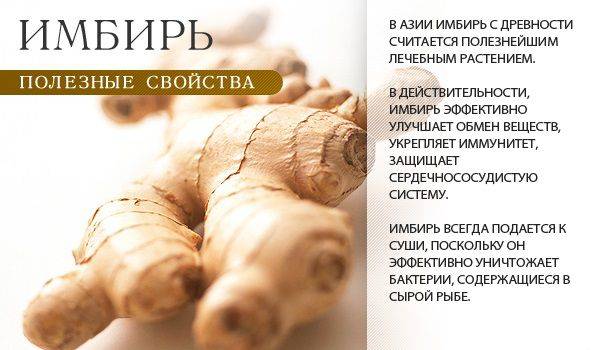 Польза имбиря