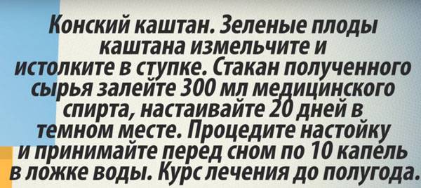 Настойка каштана от аритмии