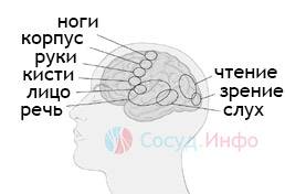 52465644646