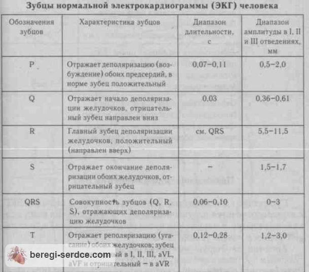 Норма ЭКГ у взрослых