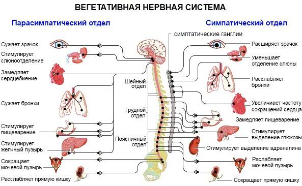 Нцд по смешанному типу