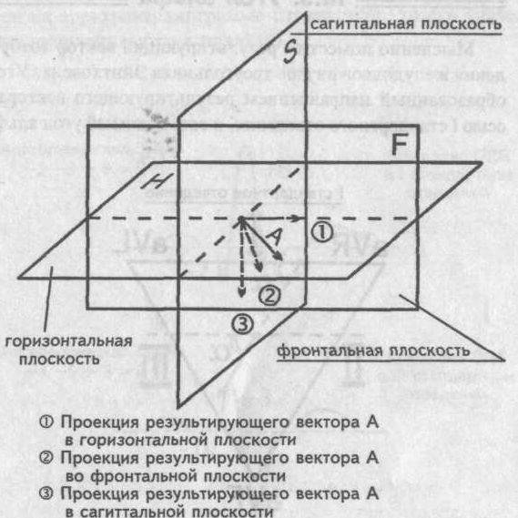 Проекция вектора в различных плоскостях Проекция вектора в различных плоскостях