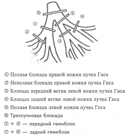 46884864
