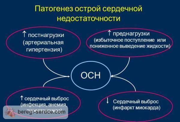 Патогенез острой сердечной недостаточности Патогенез острой сердечной недостаточности