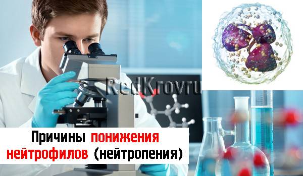 Понижены нейтрофилы у взрослого и ребенка - что это значит?