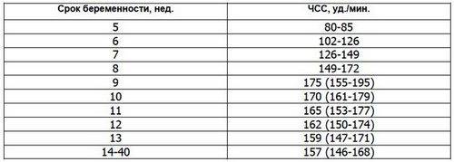 Сердцебиение плода по неделям таблица у девочек