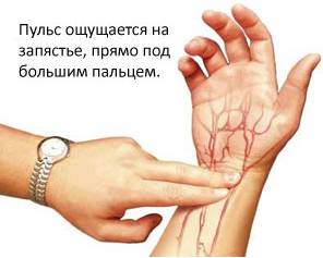 как нащупать пульс