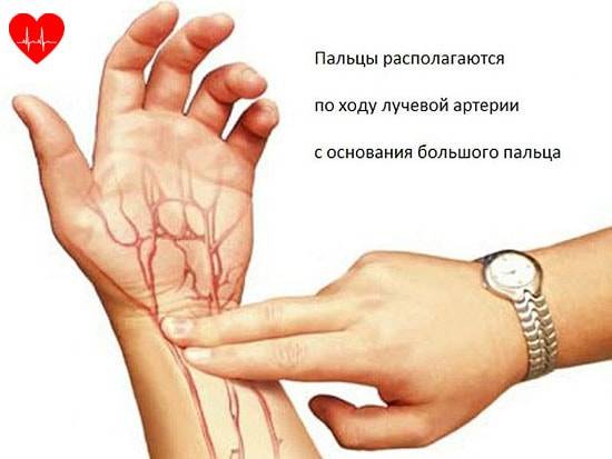 Сколько ударов в минуту сердцебиение