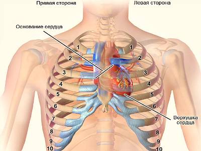 Картинка 1 Картинка 1