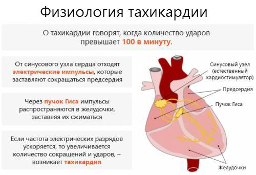 Препараты при тахикардии