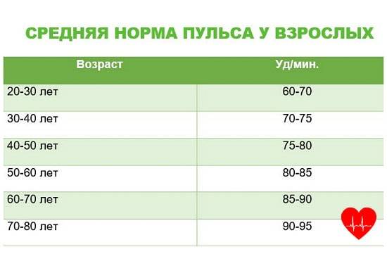 Какой должен быть пульс