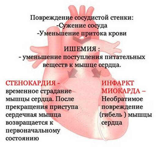 497d3489eaff