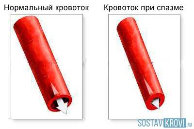 Виды