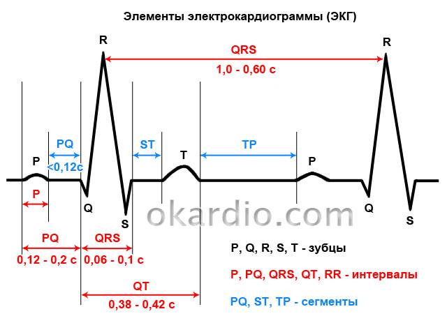 элементы ЭКГ
