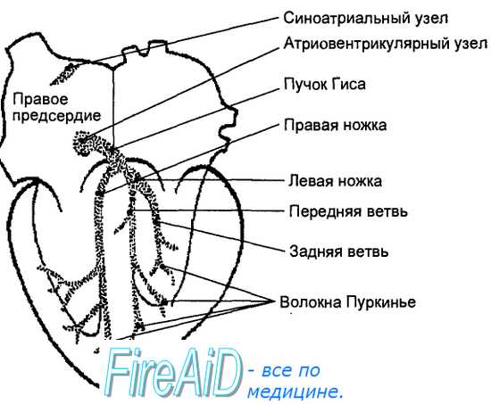 Сссу что это такое