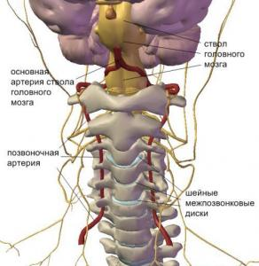 позвоночная артерия