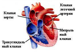 Приобретенные пороки сердца