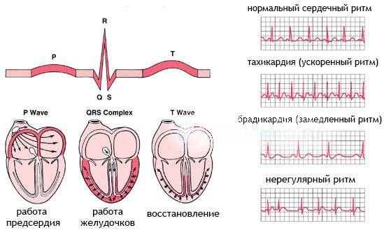 Классификация