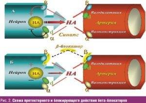 Бета-блокаторы