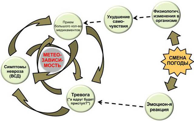 взаимосвязь возникновения ВСД от внешних факторов