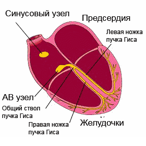 5468468486