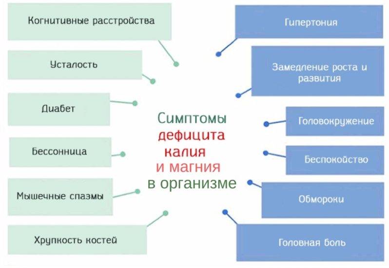 проявления недостатка в организме калия и магния