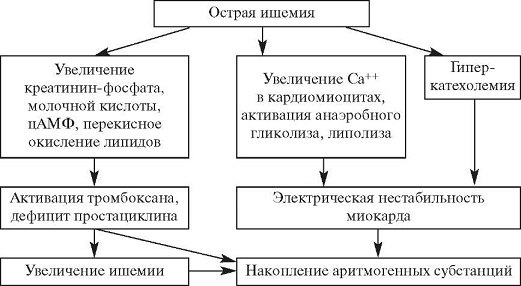 Патогенез изменений при острой ишемии миокарда