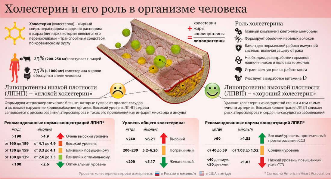 Что такое холестерин