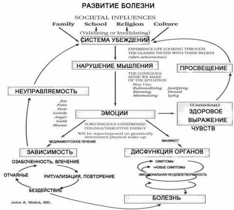 Вегето-сосудистая дистония Вегето-сосудистая дистония