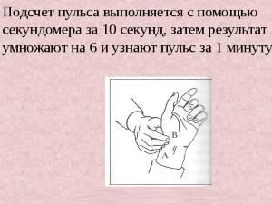 Техника подсчета пульса