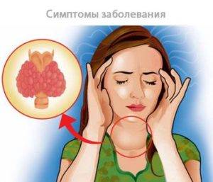Щитовидная железа