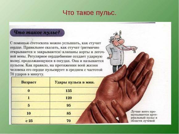 Что делать, если пульс 50 ударов в минуту?