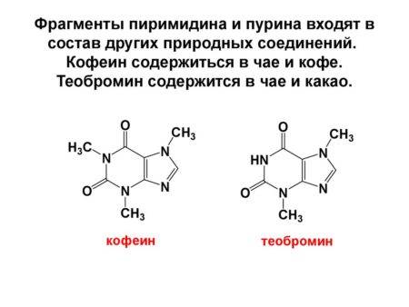 Учащенное сердцебиение причины что делать